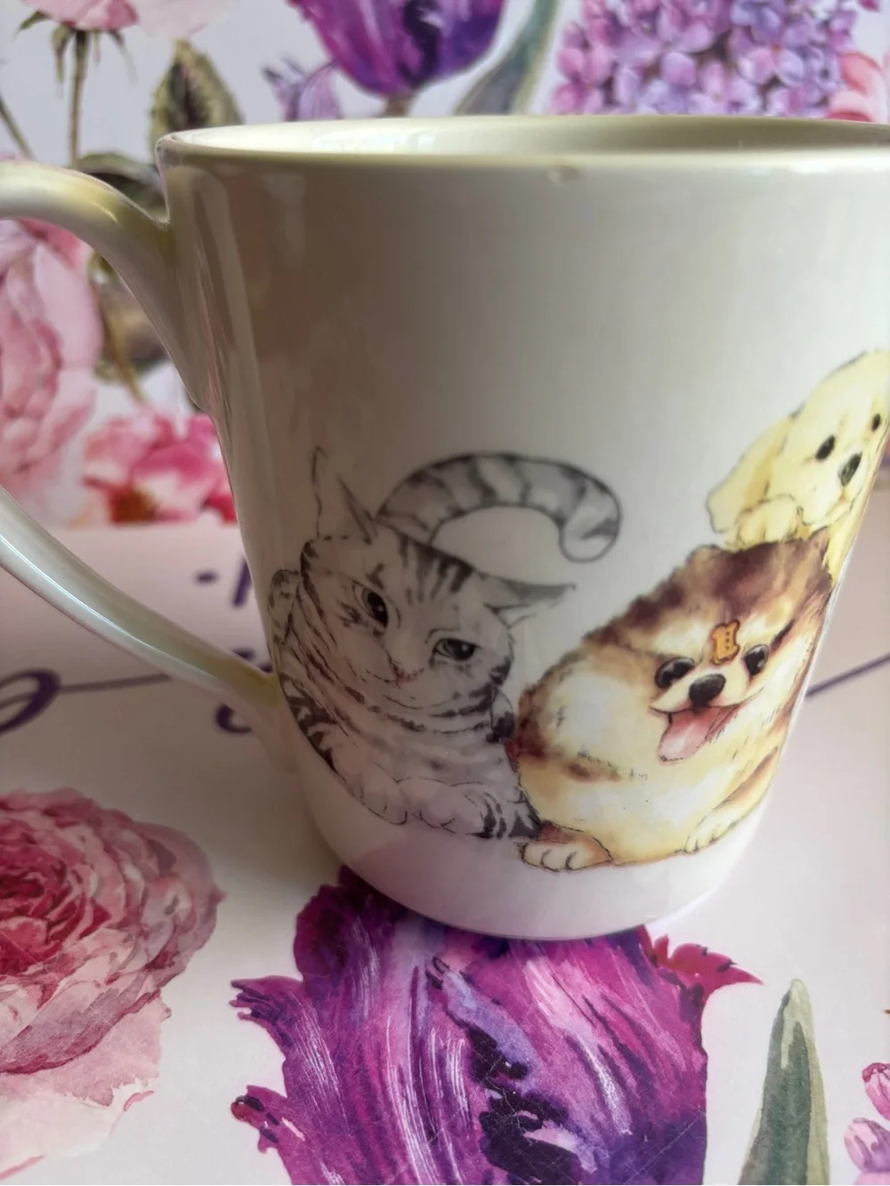 Mug/Pier 1 Cream Ceramic Mug with Puppy, Kitten & Pomeranian Illustrations